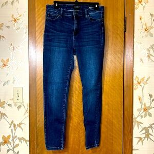 Judy Blue Skinny
